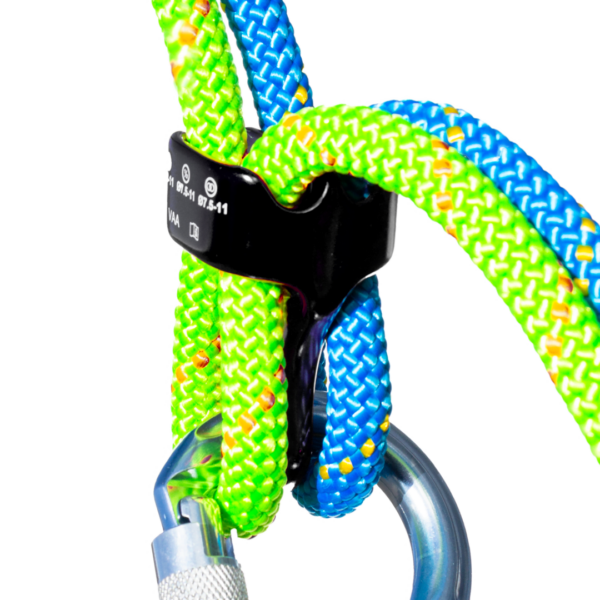 Close-up of colorful climbing ropes secured by a black rope clamp and attached to an Omega Pacific SBGFG Belay/Rappel Device. The ropes are green with red accents and blue with white and orange accents. The metal carabiner has a screw-lock mechanism.