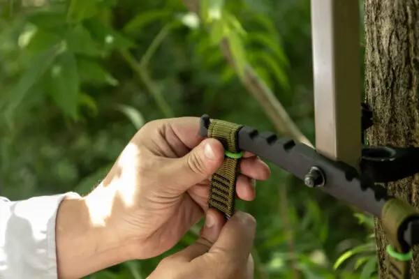 Close-up of hands adjusting a green and black strap attached to a tree trunk with a metal and plastic mechanism. The background is blurred, showing lush green foliage.