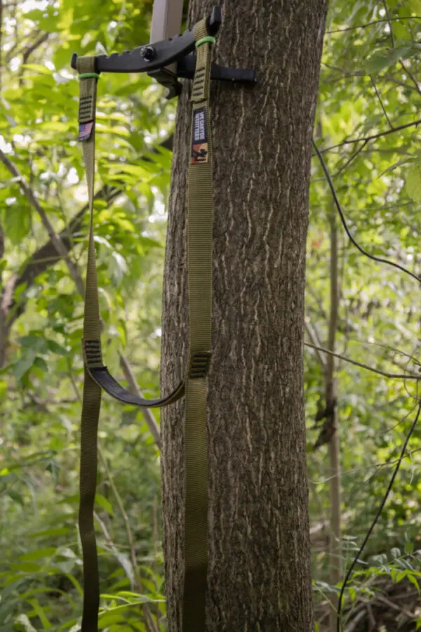 An Ape Canyon Outfitters 3 Step Aider is securely attached to a tree trunk in a lush forest. The foliage is dense, with various shades of green leaves in the background, indicating a rich and vibrant natural environment. The aider appears to be intended for climbing or accessing a tree stand.