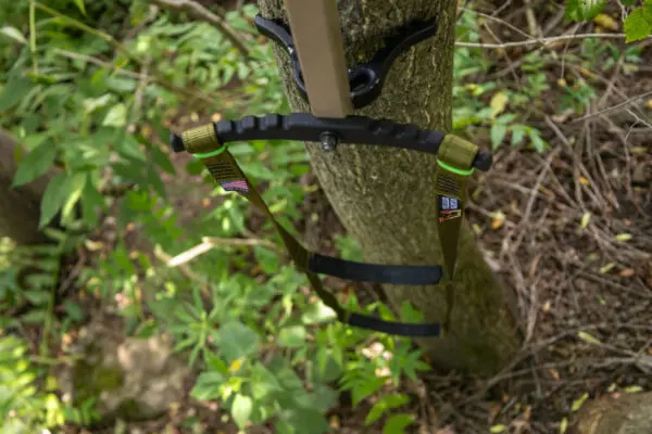 A close-up of a tree trunk with an Ape Canyon Outfitters 3 Step Aider attached. The aider features two green straps and a black plastic handle, intended to assist in scaling the tree. Surrounding the tree is dense greenery, including various plants and undergrowth.