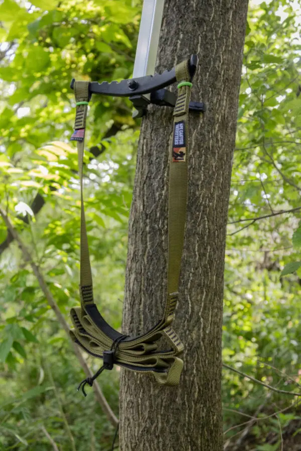 A green and black Ape Canyon Outfitters 3 Step Aider is secured to a tree trunk in a dense, green forest. The sturdy straps loop around the tree, while the black metal buckles hold the aider in place, ready for use. Verdant foliage surrounds the tree, creating a lush backdrop.