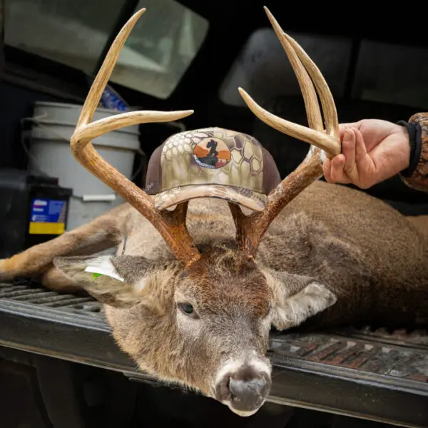 A deer with large antlers lies on a truck bed. An Ape Canyon Outfitters Richardson Trucker Hat is placed on its head. A person holds one of the antlers, displaying the deer.