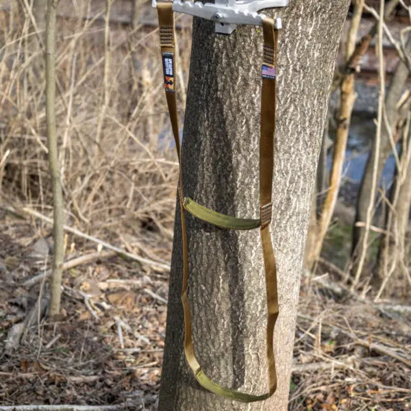 A tree stands in a sparse, wooded area with a brown, webbed Ape Canyon Outfitters 2 Step Aider secured around its trunk. The aider has two steps and is attached to a white plastic platform higher up on the tree. The ground is covered with fallen leaves and twigs.