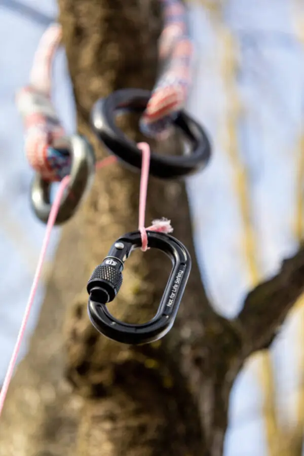 Close-up of a tree with climbing gear attached. An Omega Pacific Micro Raider Aluminum Keylock Screw-Lok hangs from a pink rope, and two additional ropes, one with a striped pattern, are looped through rings higher up the trunk. The background is out of focus, showing bare branches.