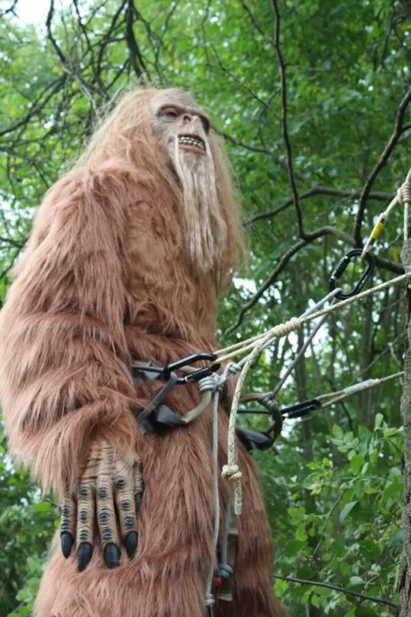 A person in a detailed Bigfoot/Sasquatch costume, featuring long brown fur and an intricate, expressive face. The individual is standing in a forest, secured with an Ape Canyon Outfitters 8mm Resc Tech Lineman Belt with 3 Stage Quick Lock Carabiners, suggesting they are engaged in an outdoor adventure or activity.