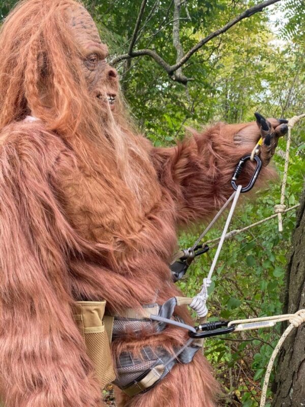 A person in a furry Sasquatch costume is setting up climbing gear among trees. They are attaching an Ape Canyon Outfitters 8mm Oplux Lineman Belt to carabiners and wearing a safety harness, with the forest greenery in the background.