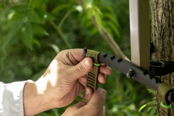 Close-up of hands adjusting a green and black strap attached to a tree trunk with a metal and plastic mechanism. The background is blurred, showing lush green foliage.