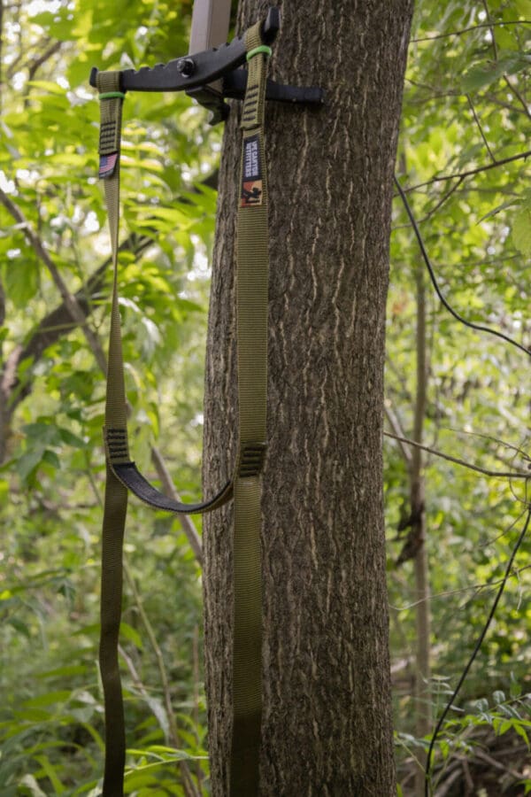 A tree with a hunting saddle and climbing straps securely attached to its trunk. The background features dense foliage, indicating a forested area with plentiful greenery. The straps are olive green and the setup appears ready for use.