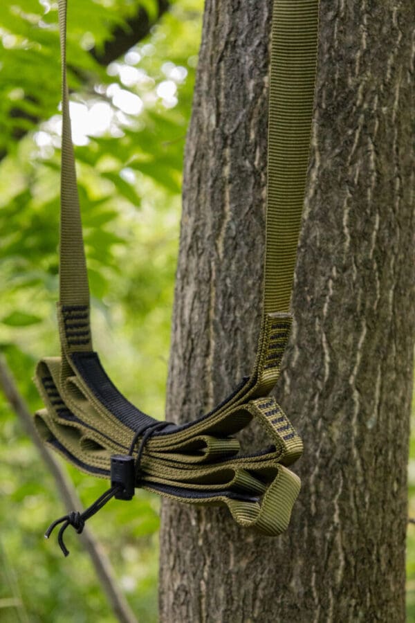 A green nylon Ape Canyon Outfitters 3 Step Aider with black stitching is hanging on a tree trunk. The strap is neatly folded and secured with a black tie. The background features green foliage, indicating a forest or wooded setting.