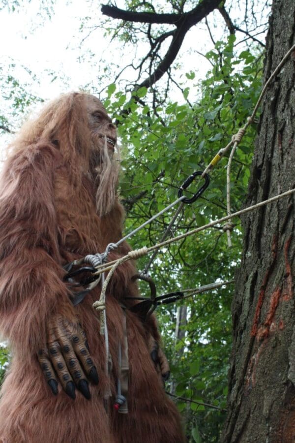 A person dressed in a detailed Sasquatch costume stands next to a tree with ropes and the Ape Canyon Outfitters 8mm Oplux Lineman Belt attached. The individual appears to be engaging in some form of outdoor activity, surrounded by green foliage.