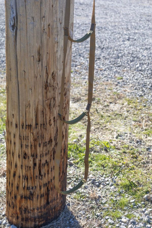 A wooden utility pole stands outdoors on gravel and a patch of grass. Attached to the pole is an Ape Canyon Outfitters 3 Step Aider with three green and beige fabric rungs hanging down. The ladder is secured with metal rings and straps.
