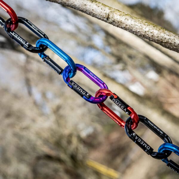 Close-up of several colorful Omega Pacific Micro Raider Aluminum Keylock Straightgate carabiners, including blue, purple, and red, linked together to form a chain hanging from a tree branch. The background features blurred trees and branches, suggesting an outdoor setting. The carabiners are branded "OMEGA.