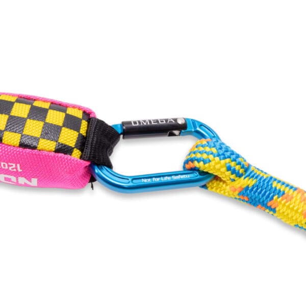 A close-up of a blue Omega Pacific Micro Raider Aluminum Keylock Straightgate attached to a multicolored climbing rope and a pink and black-checkered webbing. The carabiner has "OMEGA" written on it and a safety warning that says "Not for Life Safety.