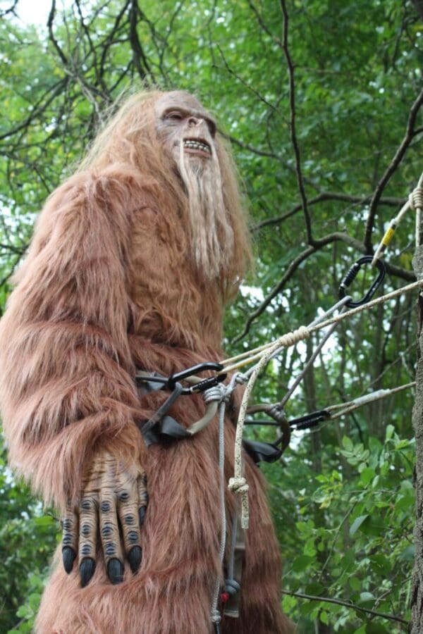 A person in a detailed Bigfoot/Sasquatch costume, featuring long brown fur and an intricate, expressive face. The individual is standing in a forest, secured with an Ape Canyon Outfitters 8mm Resc Tech Lineman Belt with 3 Stage Quick Lock Carabiners, suggesting they are engaged in an outdoor adventure or activity.