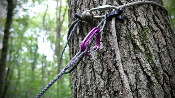 A tree trunk in a forest with climbing gear attached, including ropes, The Flexi Ohm Tether Locker, and a metal clip. The background is blurred, showing green foliage.