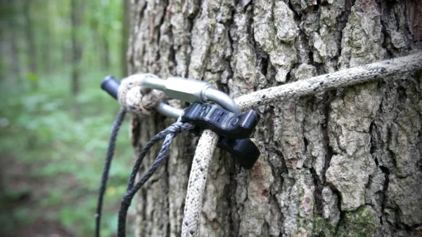 Close-up of a tree trunk with several ropes tied around it using a Flexi Ohm Tether Locker and a black plastic clip. The ropes are securing something out of the frame in a wooded area. The background shows a dense forest.